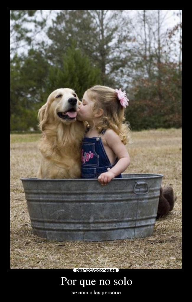 Por que no solo - se ama a las persona