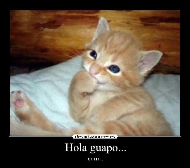 Hola guapo... - grrrrr...