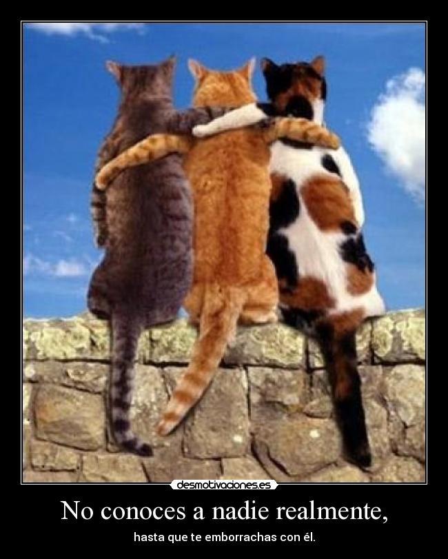 No conoces a nadie realmente, - hasta que te emborrachas con él.