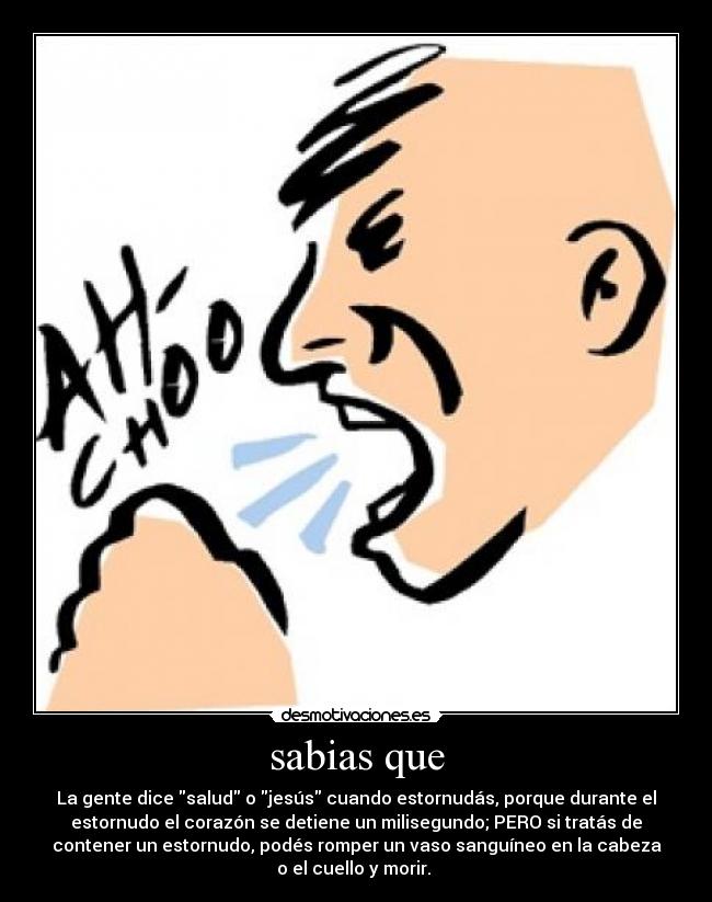 sabias que - La gente dice salud o jesús cuando estornudás, porque durante el
estornudo el corazón se detiene un milisegundo; PERO si tratás de
contener un estornudo, podés romper un vaso sanguíneo en la cabeza
o el cuello y morir.