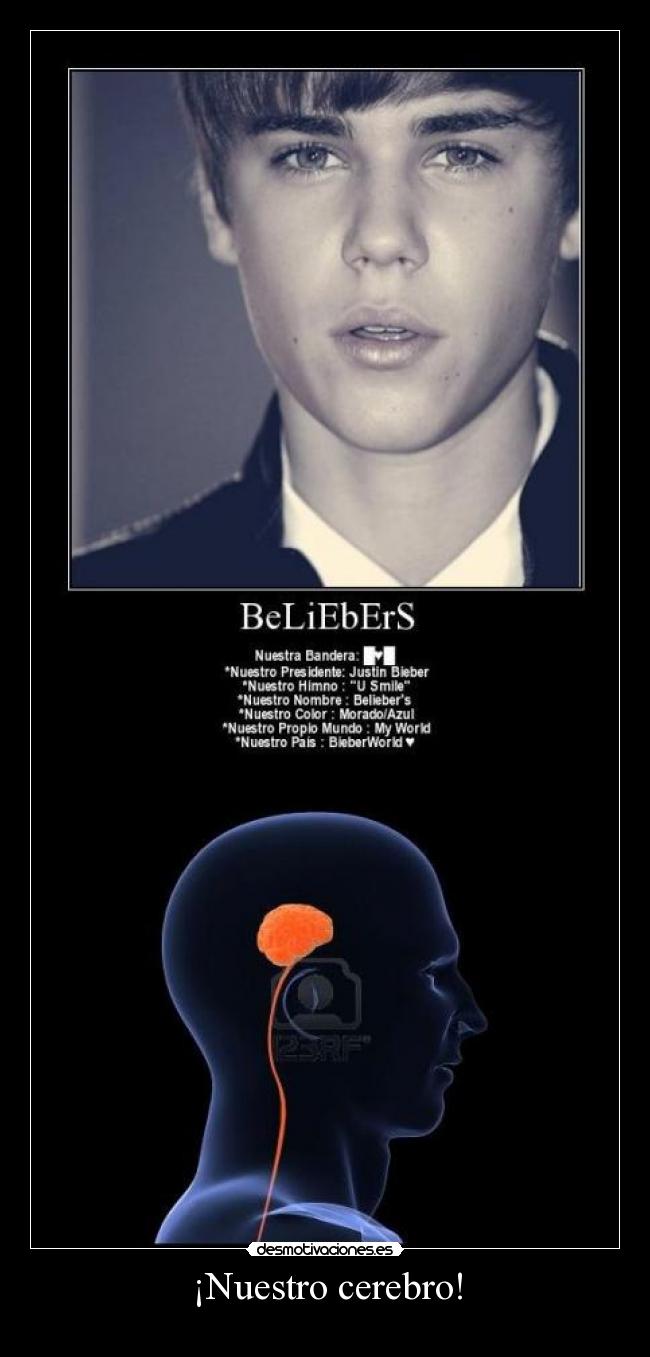 ¡Nuestro cerebro! - 