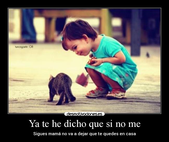 carteles mariangel desmotivaciones