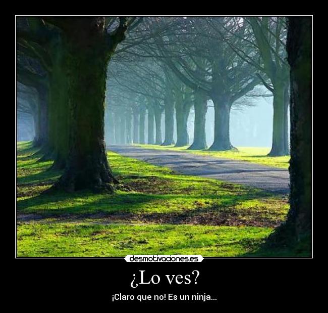 ¿Lo ves? - 