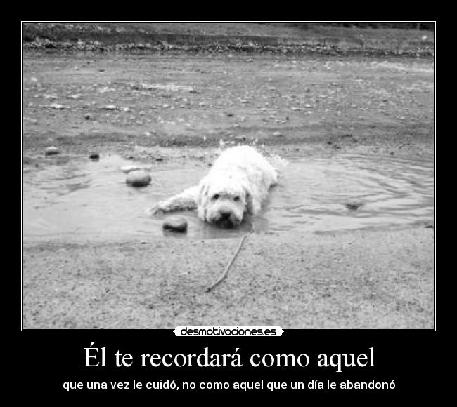 Él te recordará como aquel - que una vez le cuidó, no como aquel que un día le abandonó