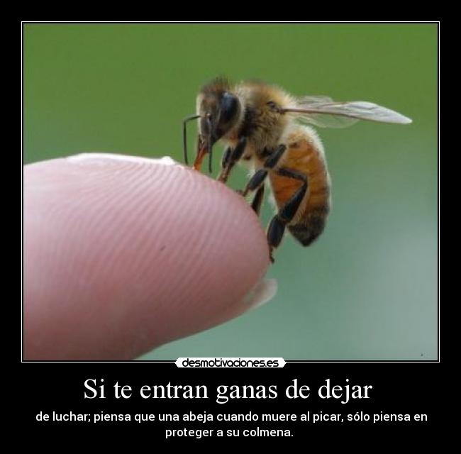 Si te entran ganas de dejar  - 