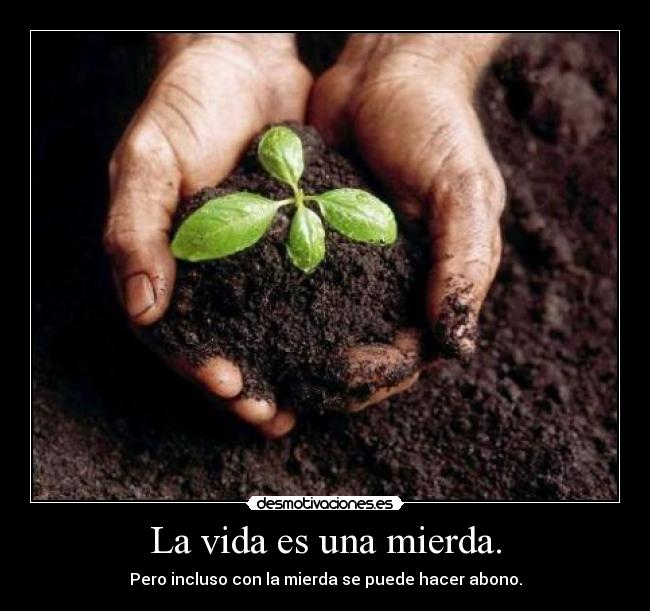 La vida es una mierda. - Pero incluso con la mierda se puede hacer abono.