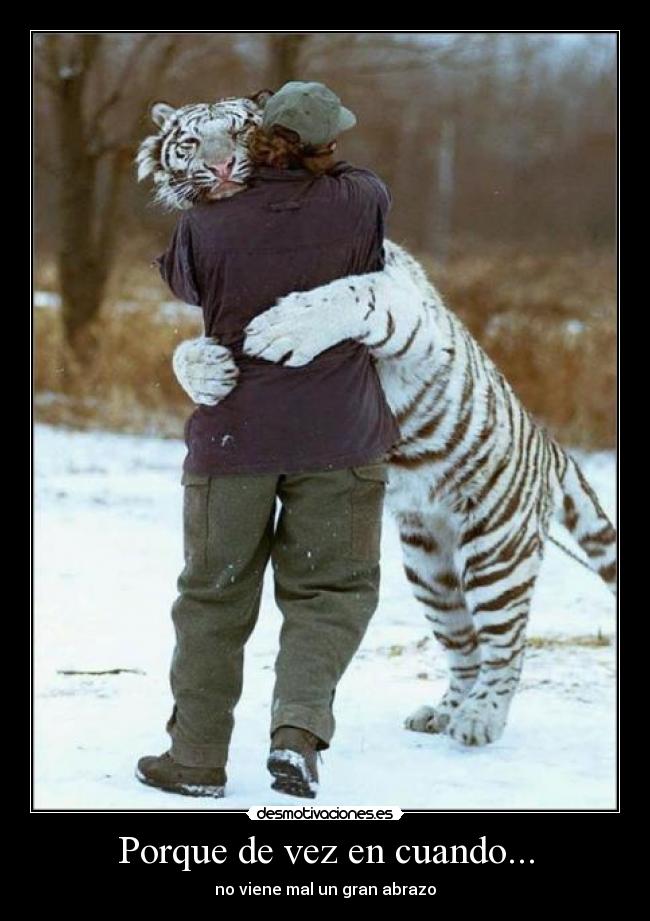 Porque de vez en cuando... - no viene mal un gran abrazo