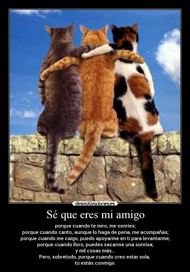 Sé que eres mi amigo -