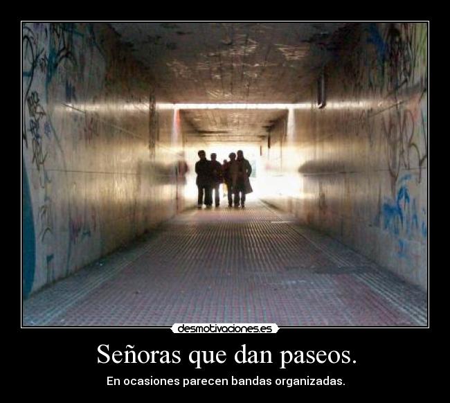 Señoras que dan paseos. - En ocasiones parecen bandas organizadas.