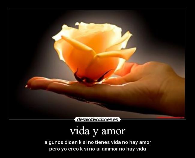 vida y amor -