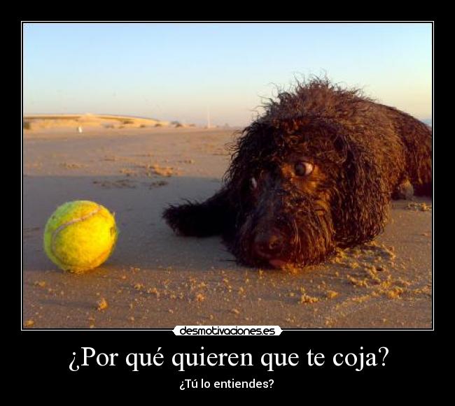 ¿Por qué quieren que te coja? -