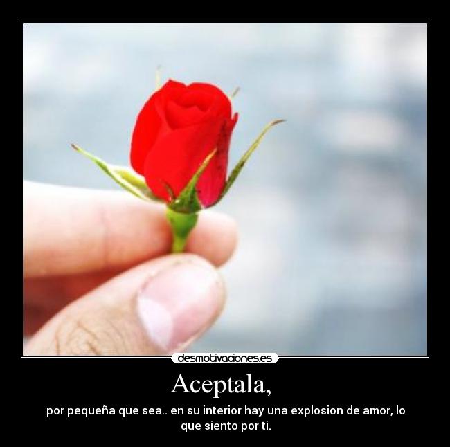 Aceptala, - por pequeña que sea.. en su interior hay una explosion de amor, lo que siento por ti.
