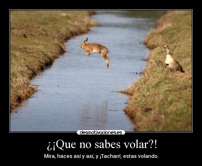 ¿¡Que no sabes volar?! - Mira, haces así y así, y ¡Tachan!, estas volando.