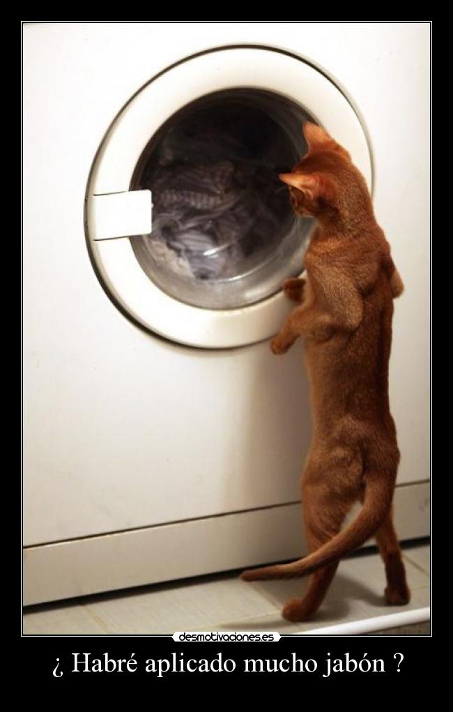 ¿ Habré aplicado mucho jabón ? - 