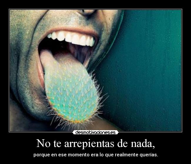 No te arrepientas de nada, - porque en ese momento era lo que realmente querías.