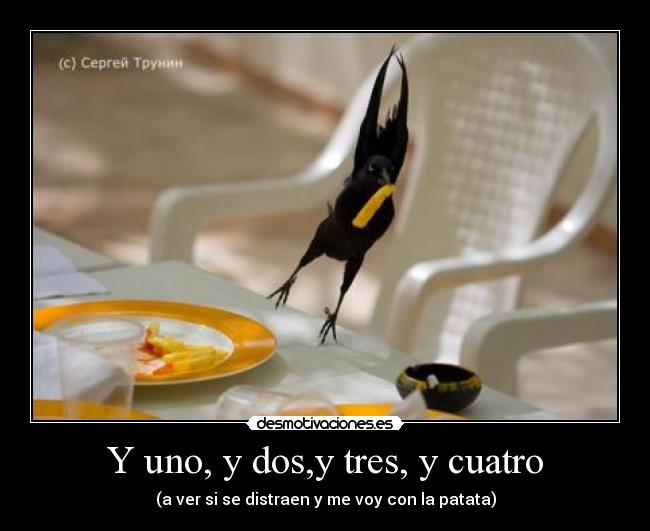 Y uno, y dos,y tres, y cuatro - (a ver si se distraen y me voy con la patata)