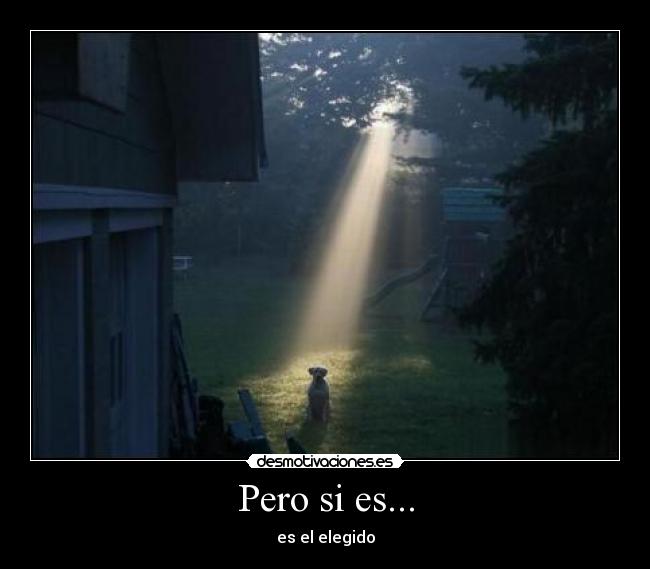 carteles elegido desmotivaciones