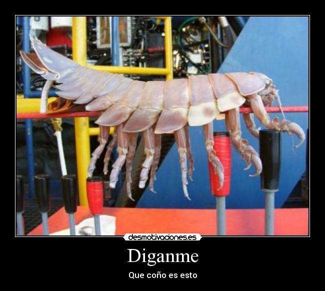 Diganme - Que coño es esto