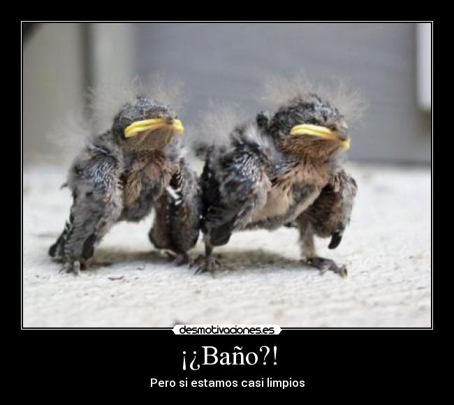 ¡¿Baño?! - Pero si estamos casi limpios