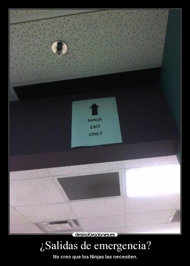¿Salidas de emergencia? - No creo que los Ninjas las necesiten.
