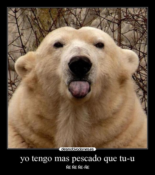 yo tengo mas pescado que tu-u - ÑE ÑE ÑE-ÑE