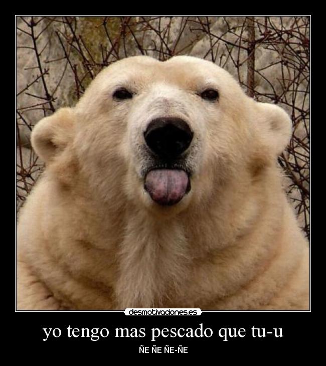 carteles oso panda pescado lengua desmotivaciones