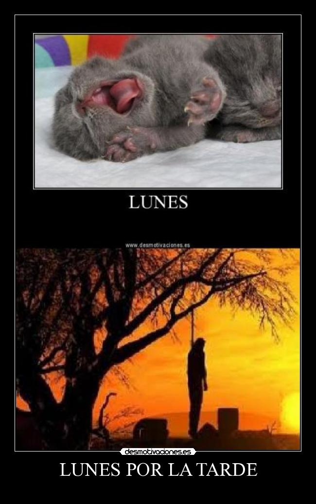 LUNES POR LA TARDE - 