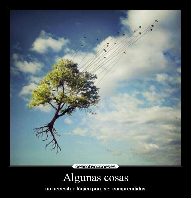 Algunas cosas - no necesitan lógica para ser comprendidas.