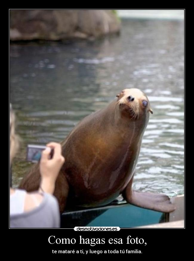 Como hagas esa foto, - te mataré a ti, y luego a toda tú familia.
