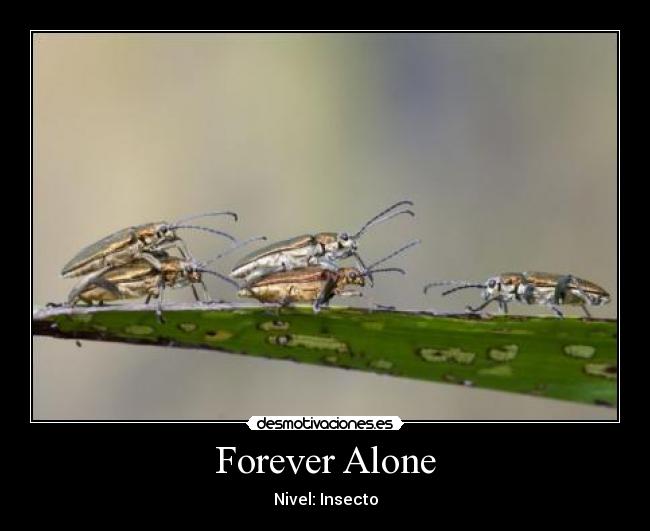Forever Alone - 