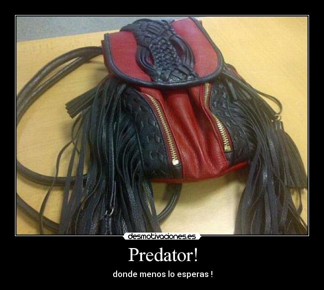 Predator! - donde menos lo esperas !