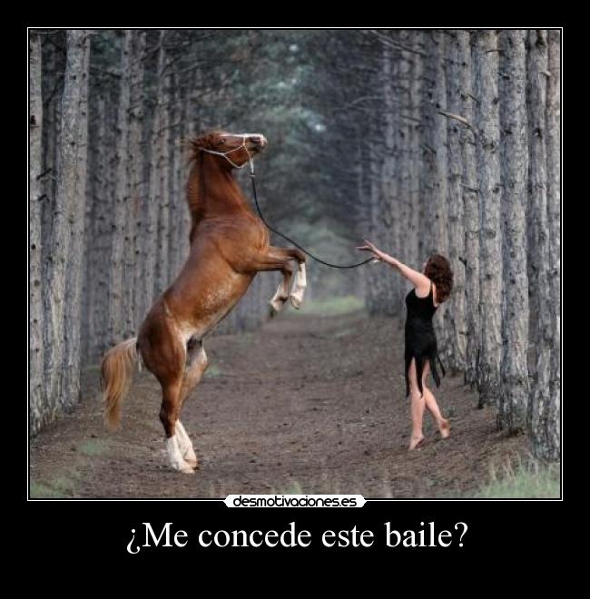 carteles humor desmotivaciones