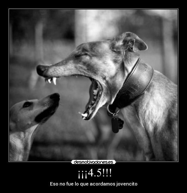¡¡¡4.5!!! - Eso no fue lo que acordamos jovencito