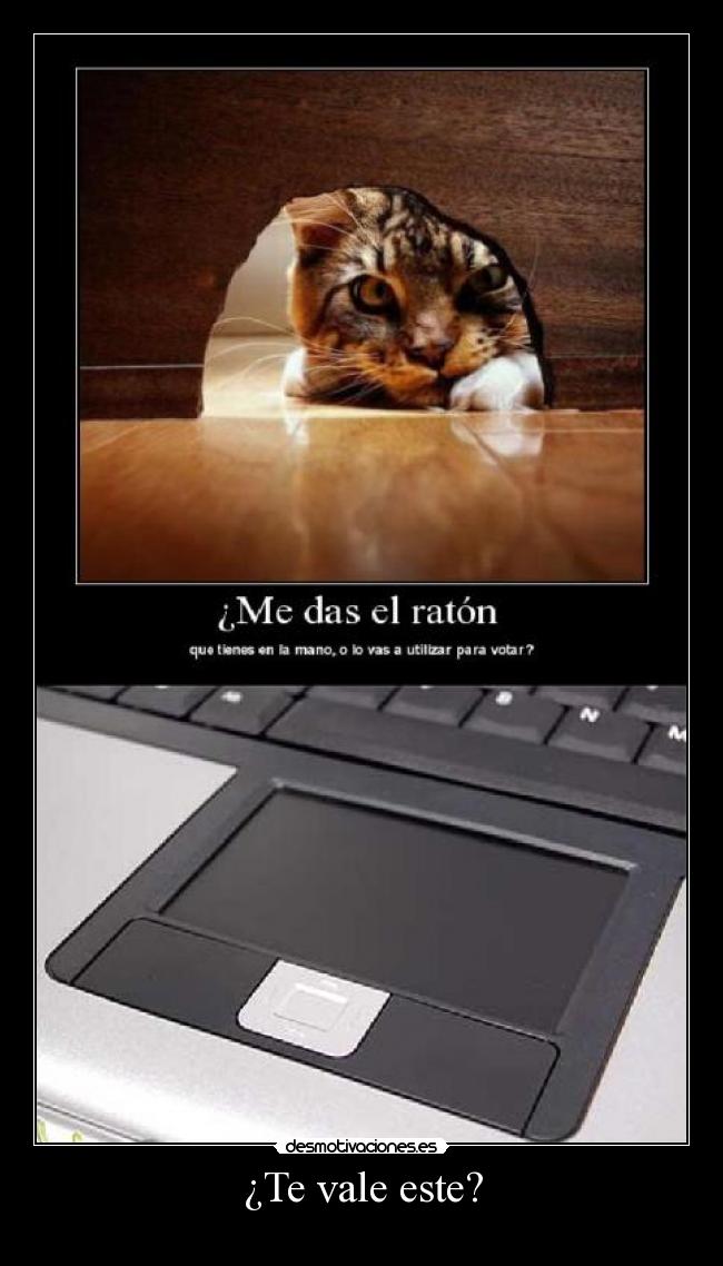 ¿Te vale este? -