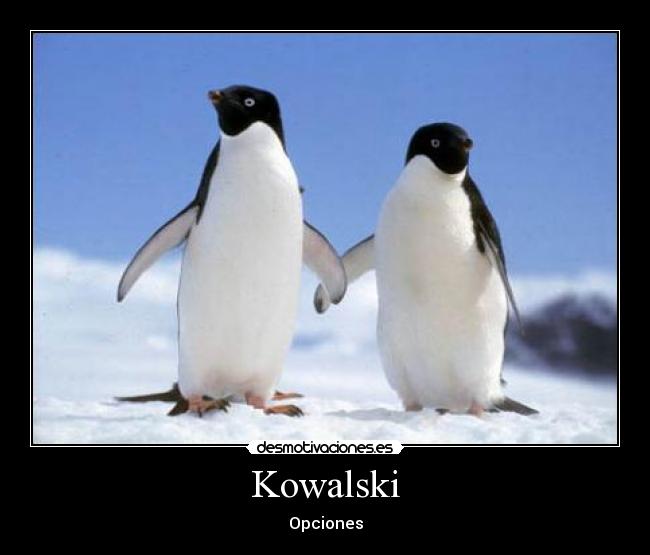 Kowalski - Opciones