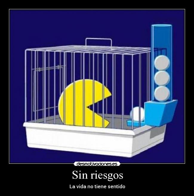 Sin riesgos -