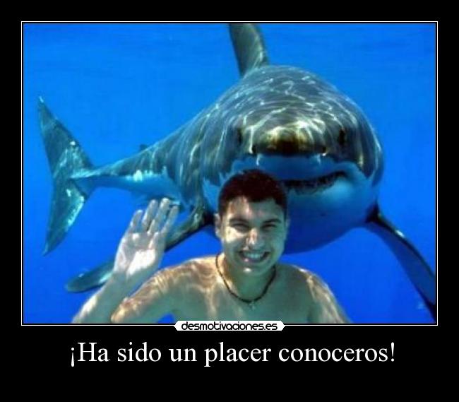 ¡Ha sido un placer conoceros! -