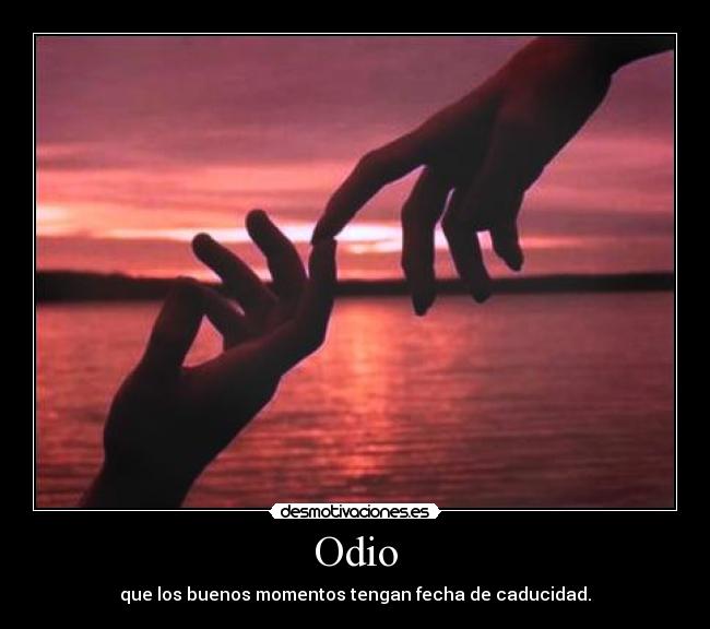 Odio - que los buenos momentos tengan fecha de caducidad.