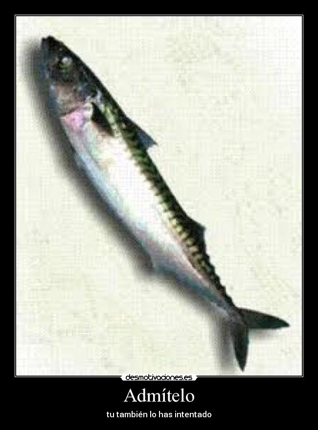 Admítelo - tu también lo has intentado