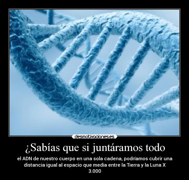 ¿Sabías que si juntáramos todo -