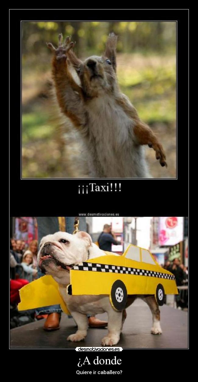 carteles taxi desmotivaciones