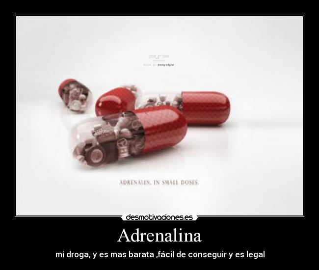 Adrenalina - mi droga, y es mas barata ,fácil de conseguir y es legal