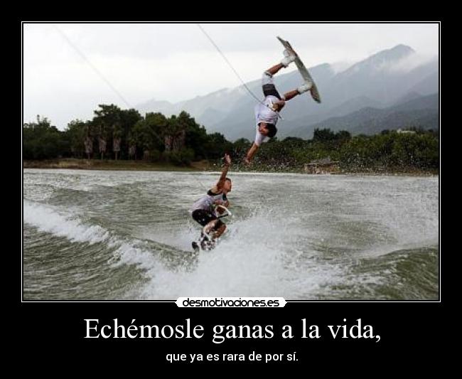 Echémosle ganas a la vida, - que ya es rara de por sí.