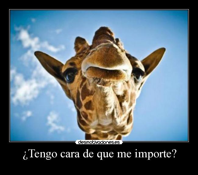 ¿Tengo cara de que me importe? - 