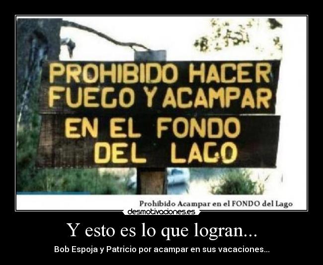 carteles bob espoja patricio colombianwalker desmotivaciones