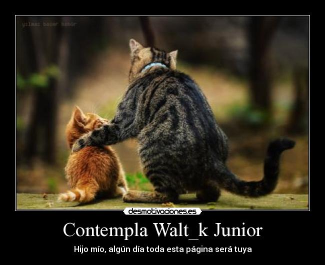 Contempla Walt_k Junior -