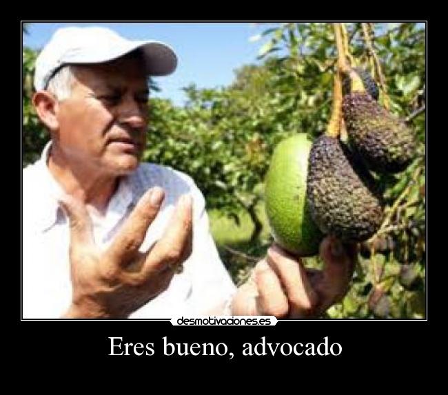 Eres bueno, advocado - 