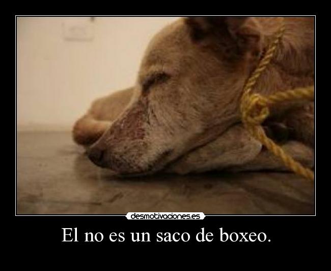 El no es un saco de boxeo. -