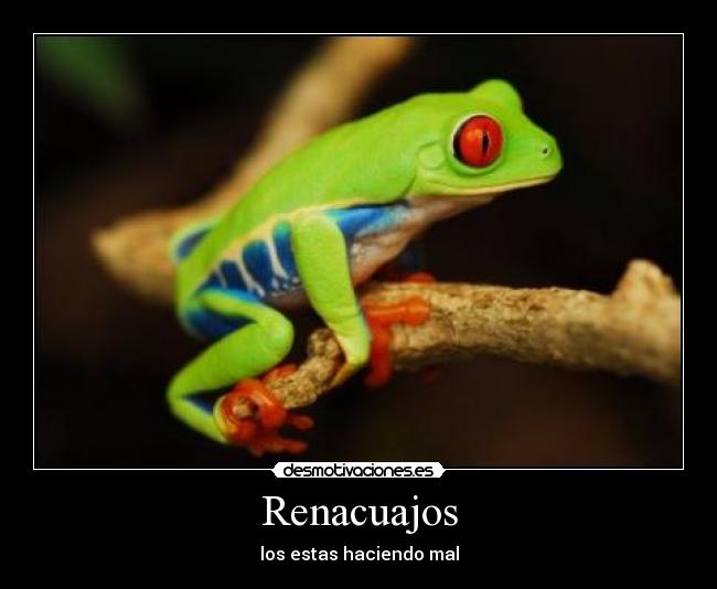 Renacuajos -