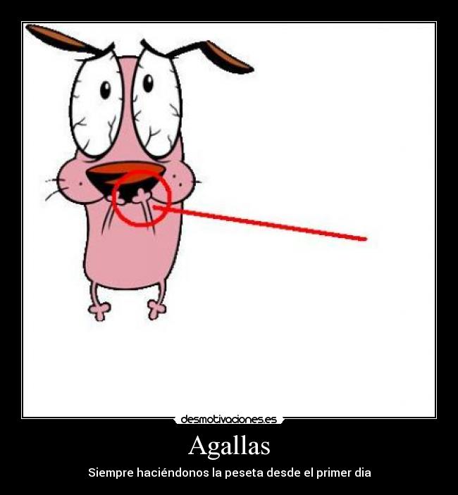 Agallas - Siempre haciéndonos la peseta desde el primer dia